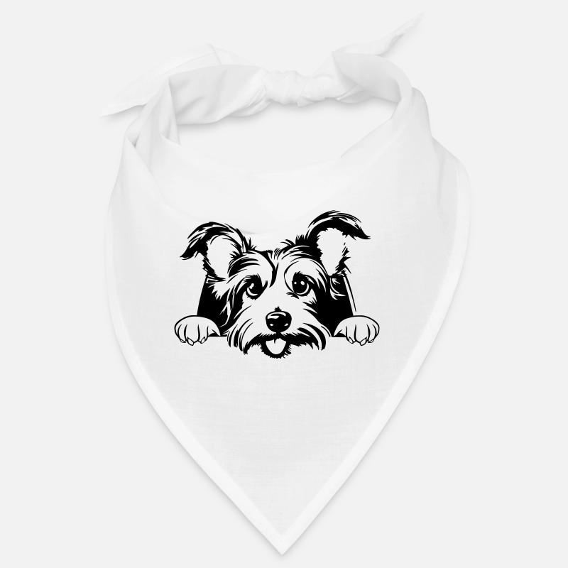 Kleiner Terrier Bandana