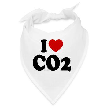 I love co2 - Bandana - Weiß - Vorne