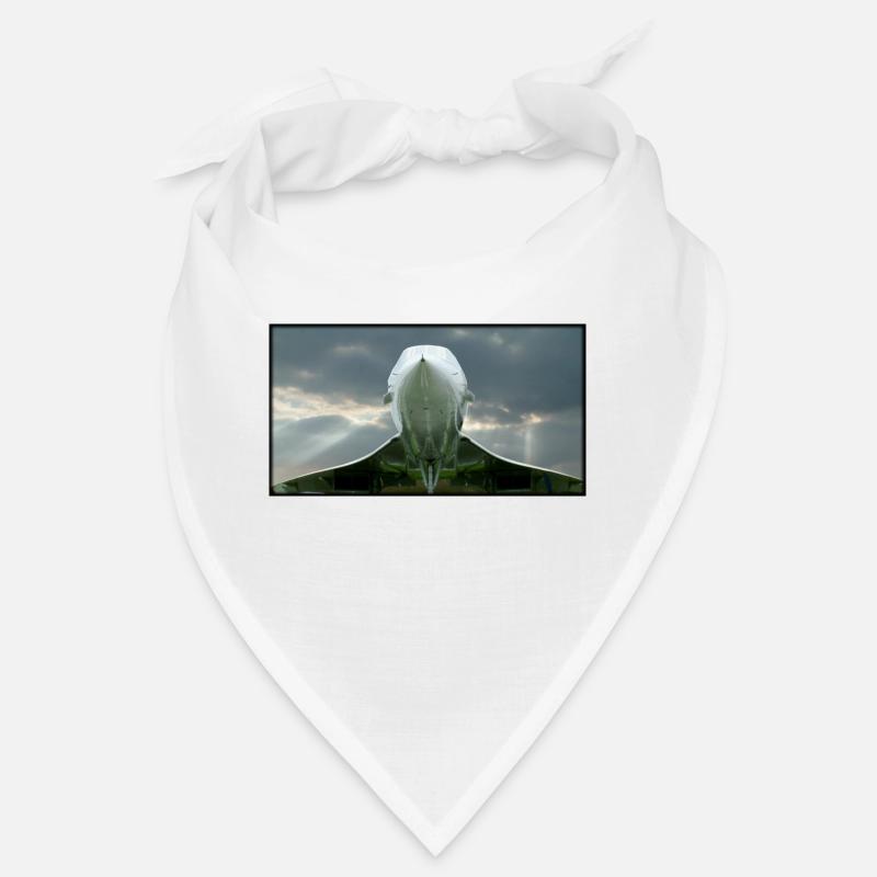 concorde & Sonnenstrahlen 120dpi Bandana