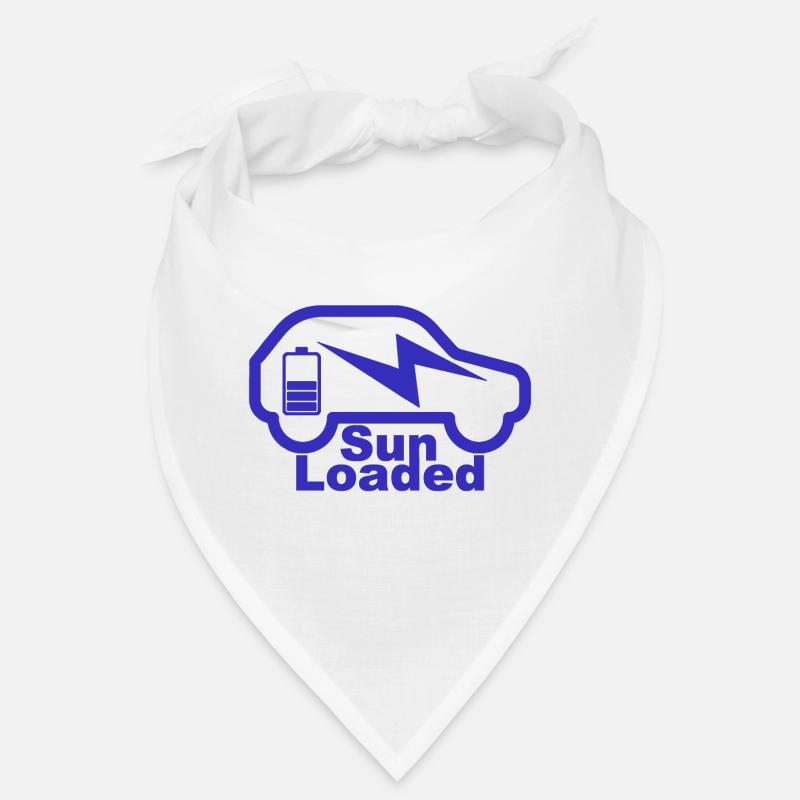 e-auto, e-mobilität,elektro-auto, zoe, EV-driver Bandana