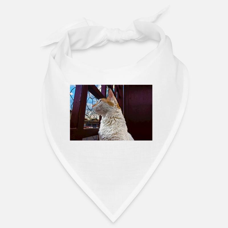le chat Bandana