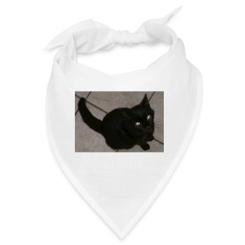 Schwarze Katze - Bandana - Weiß - Vorne