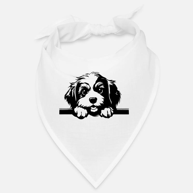 Havaneser - Bandana - Weiß