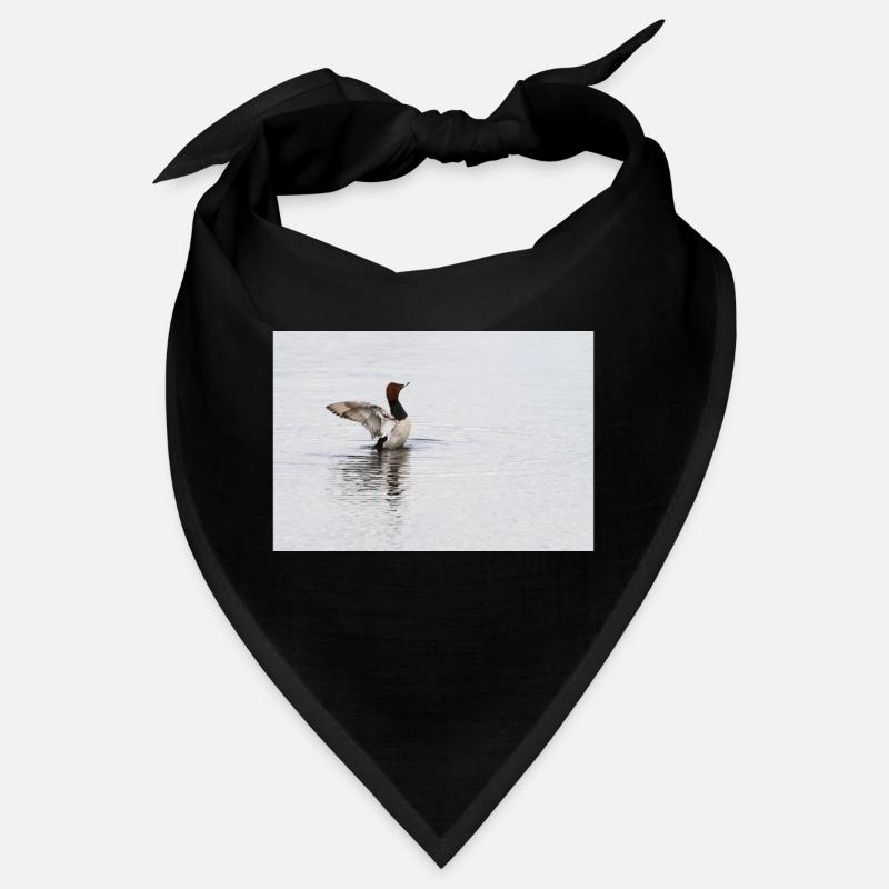 000 4816 NEF DxO DeepPRIMEXD Bandana