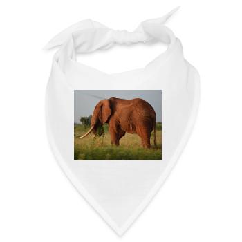 Elefant auf Savanne - Bandana - Weiß - Vorne
