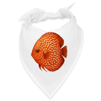 Oranger Diskusfisch-Aquarium Amazonas - Bandana - Weiß - Vorne
