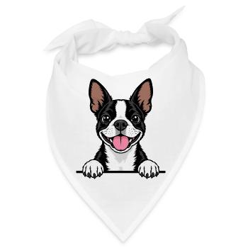 Boston Terrier - Bandana - Weiß - Vorne