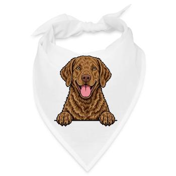 Chesapeake Bay Retriever - Bandana - Weiß - Vorne