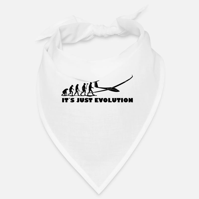 Evolution Segelflugzeug Bandana