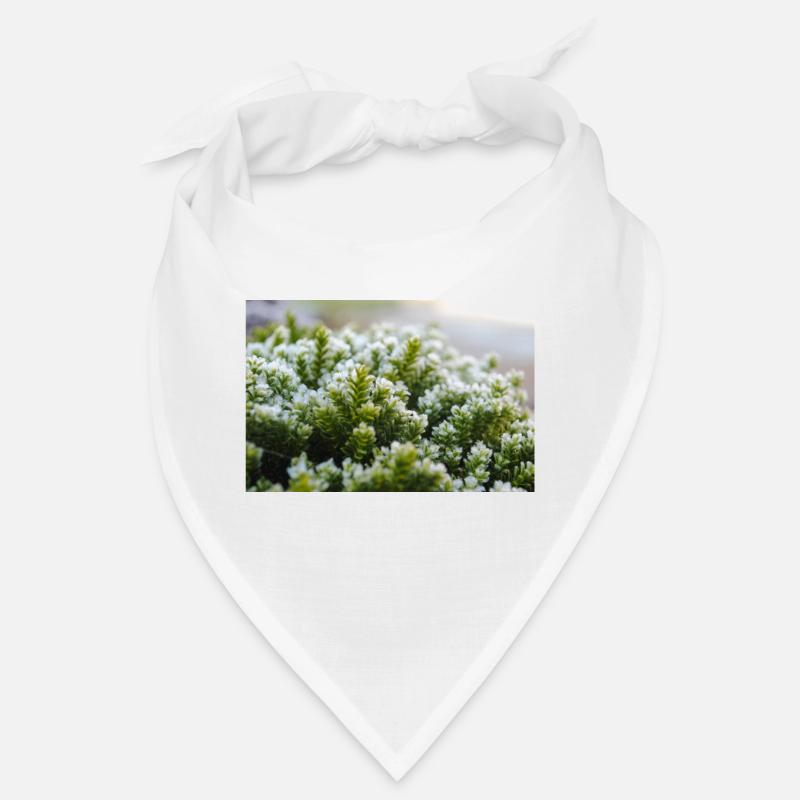 Coup de macro nature mousse Bandana