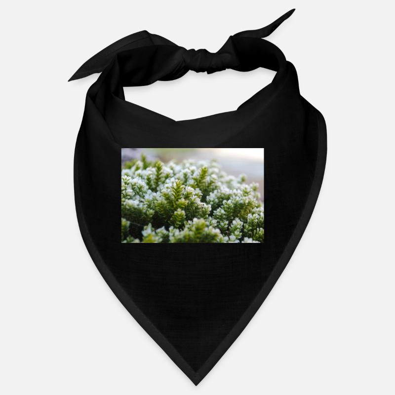Coup de macro nature mousse Bandana