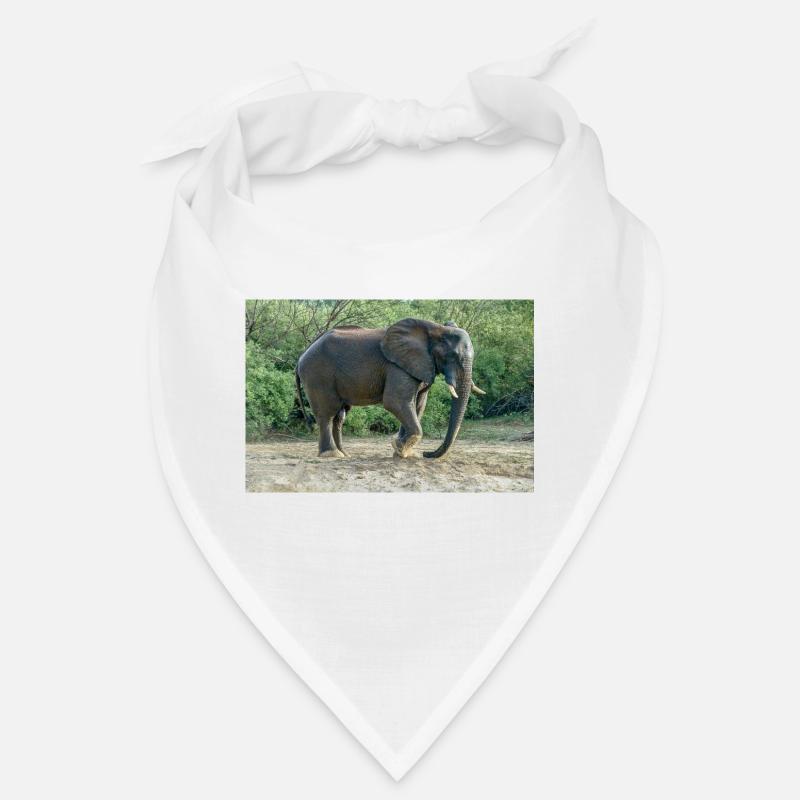 Elephant stomped its foot into the sand. Bandana