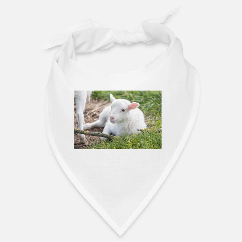 Lämmchen (Ovis) Lamm Bandana