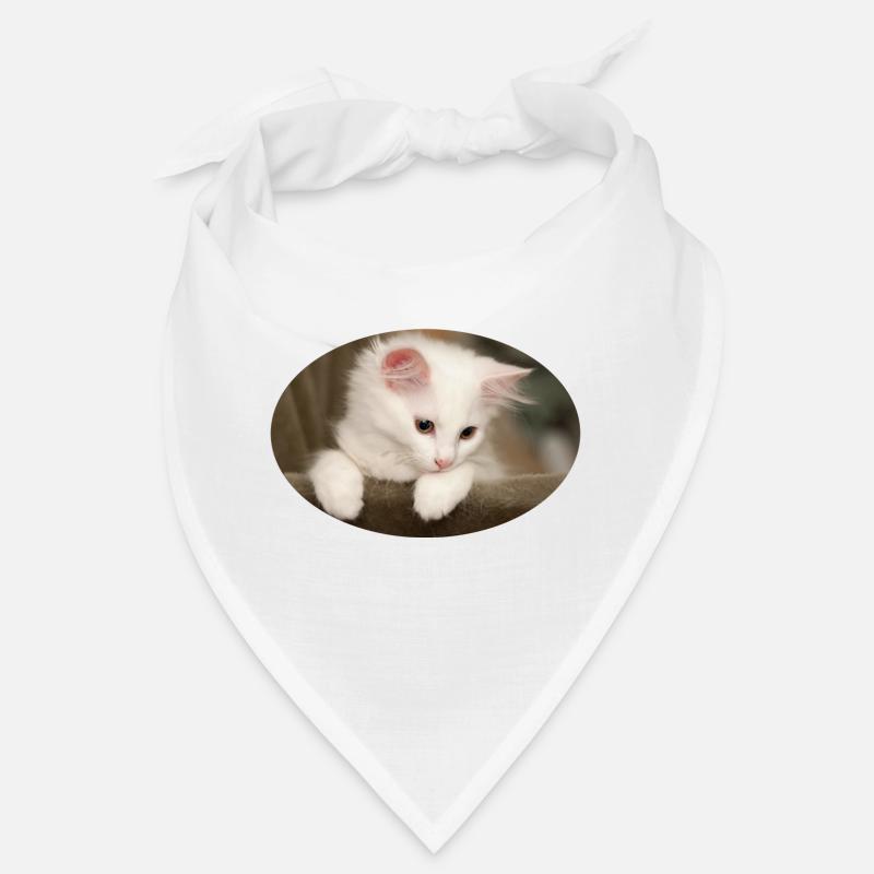 Chaton Bandana