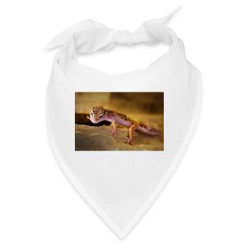 Gecko, Leopardgecko, Reptil - Bandana - Weiß - Vorne