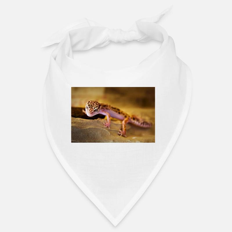 Gecko, Leopardgecko, Reptil Bandana