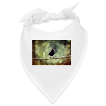 Die Amsel - Bandana - Weiß - Vorne