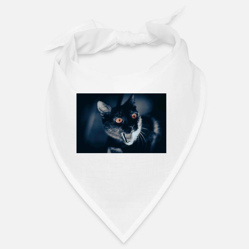 mon drôle de chat Bandana