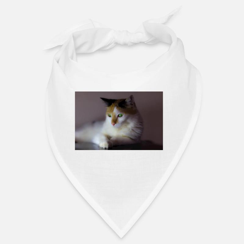 le chat au doux regard Bandana
