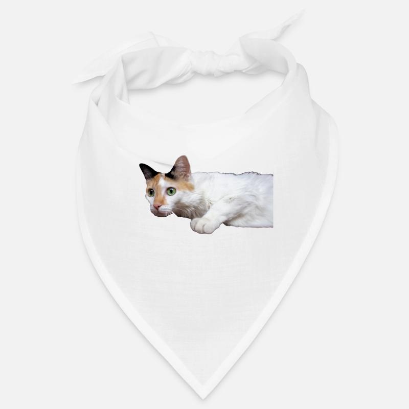 le chat au doux regard Bandana