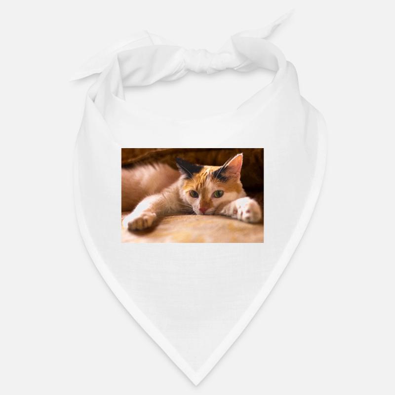Die Katze Bandana