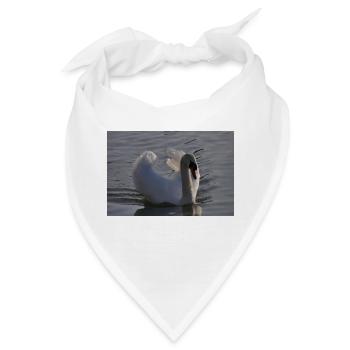 Schwan Poster - Bandana - Weiß - Vorne
