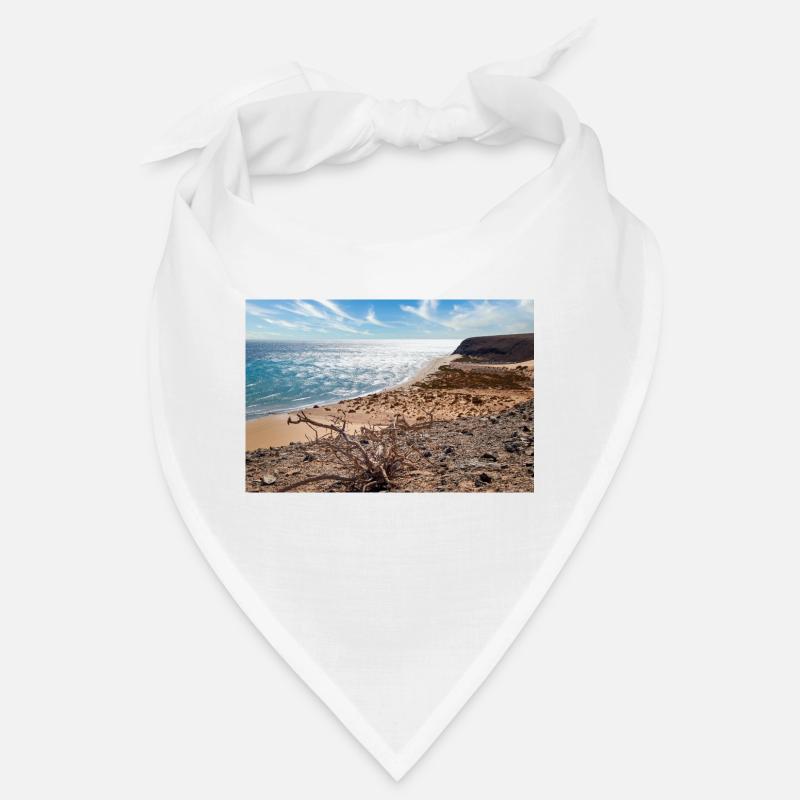 View over a beautiful bathing bay Risco del paso Bandana