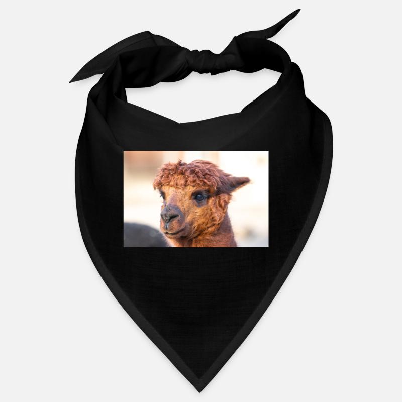 Alpaca (in german Alpaka) Vicugna pacos Bandana