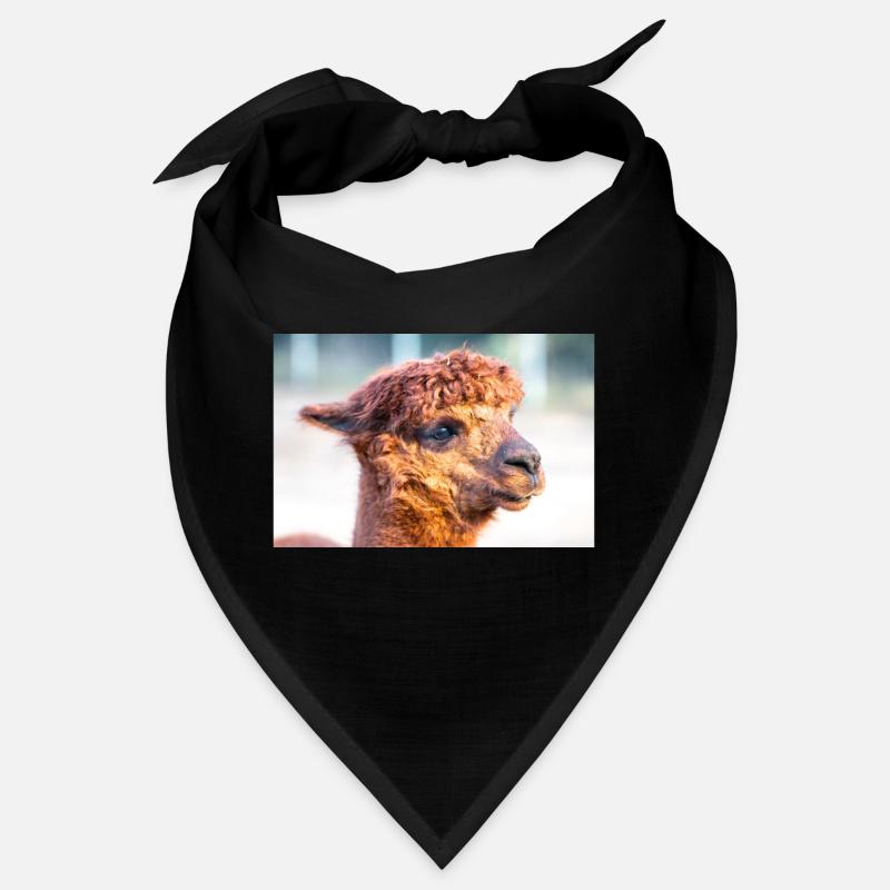 Alpaca (in german Alpaka) Vicugna pacos Bandana