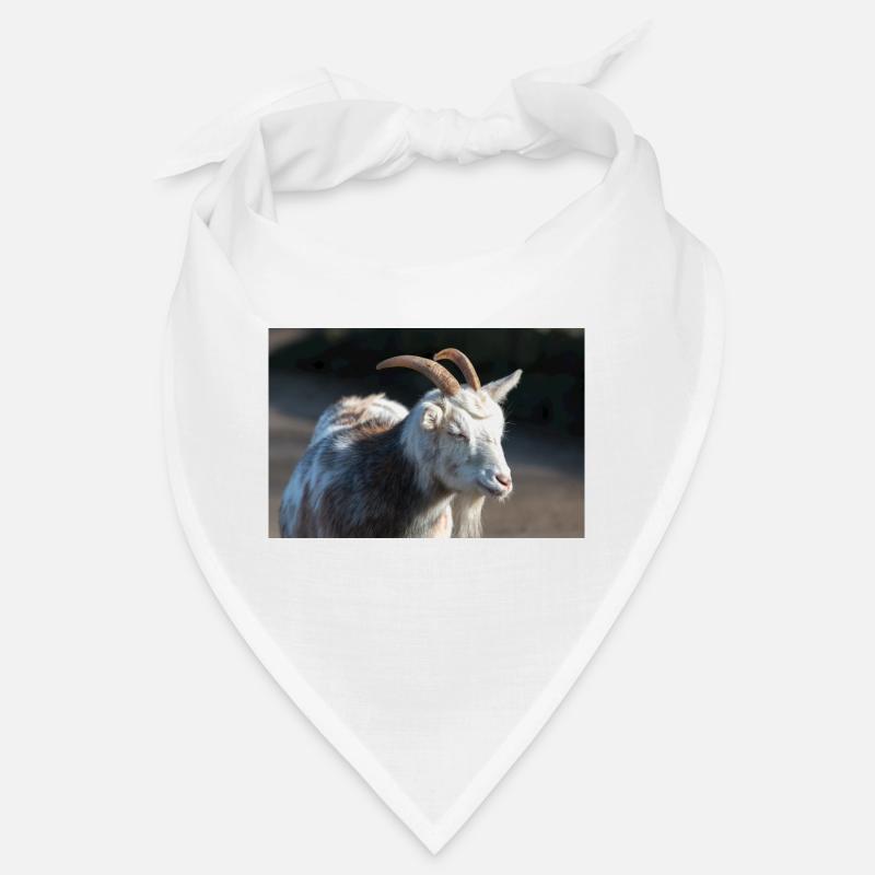 Dwarf Goat or Miniature Goat Zwergziege - Bandana - white