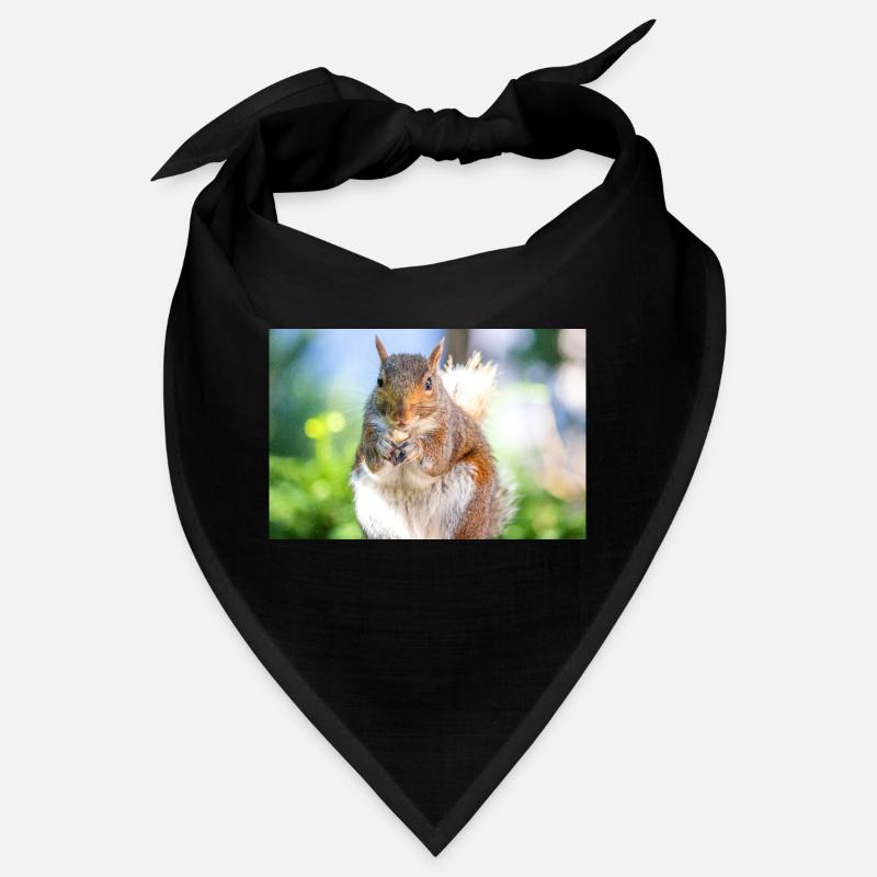 Grauhörnchen essen Bandana