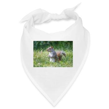 stehendes Grauhörnchen (Sciurus carolinensis) grey - Bandana - Weiß - Vorne