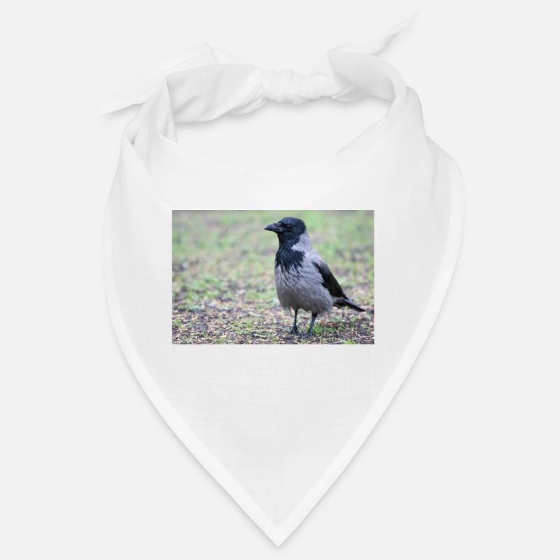 Carrion Crow (Aaskrähe, Corvus corone) Bandana