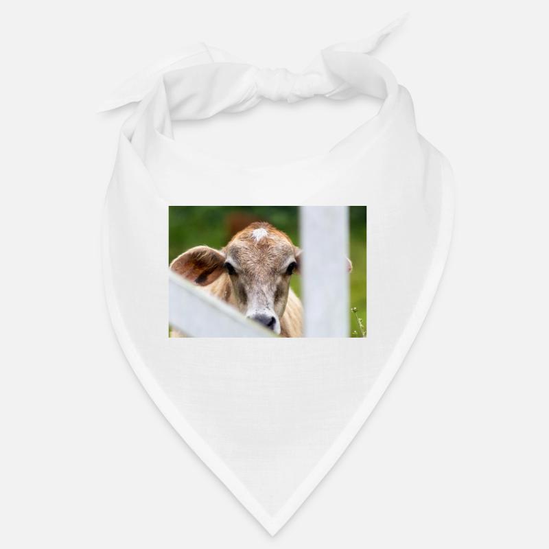 tête de vache Bandana