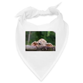 Das kleine Kalb hinter der Barriere - Bandana - Weiß - Vorne