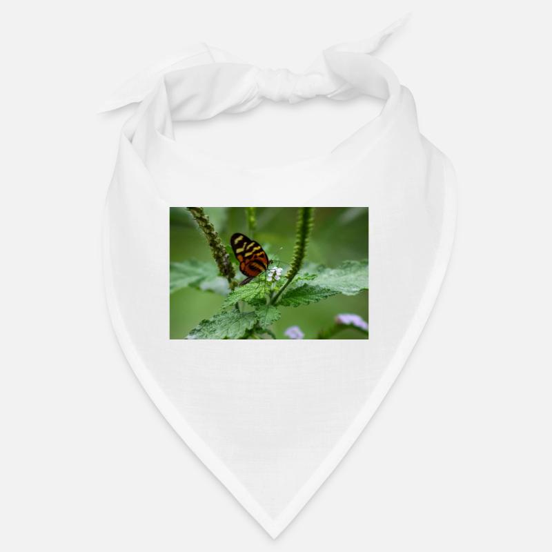 papillon Bandana