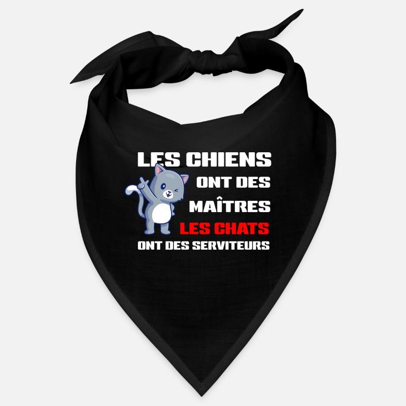 Humour de Chat Bandana