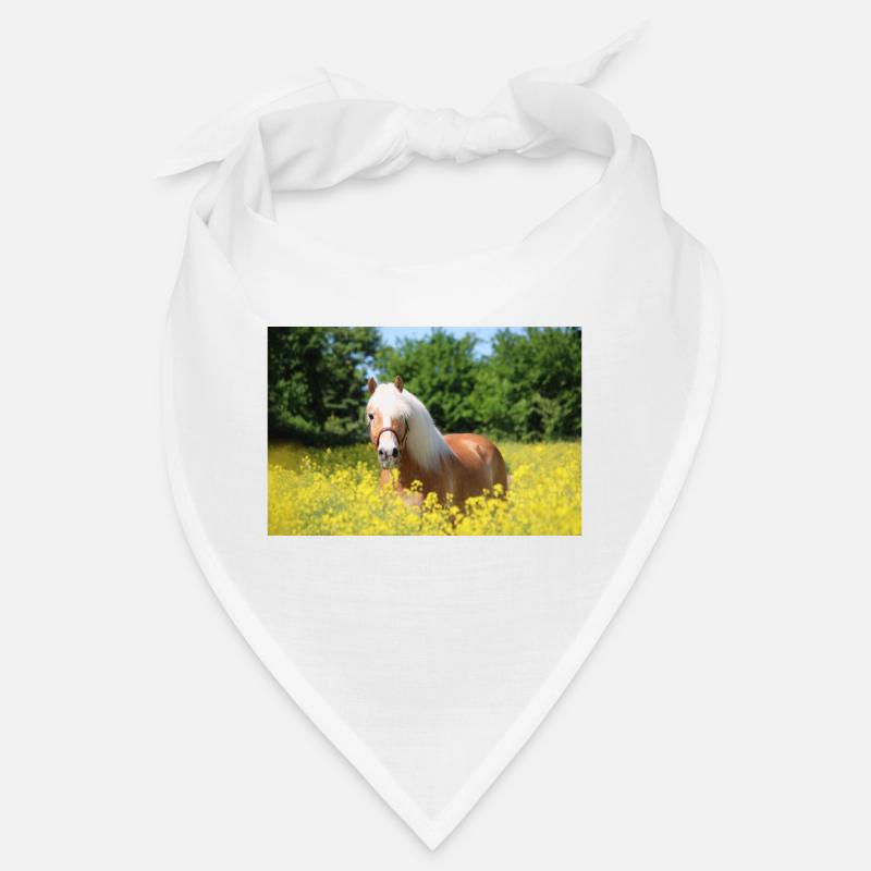 Haflinger dans le colza Bandana