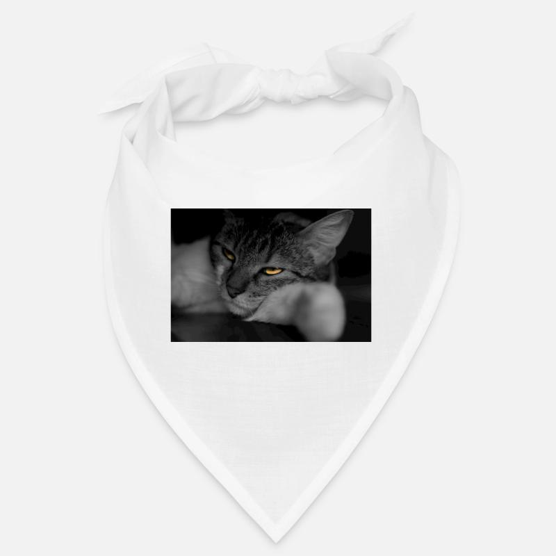Die Katze mit dem schrecklichen Blick Bandana