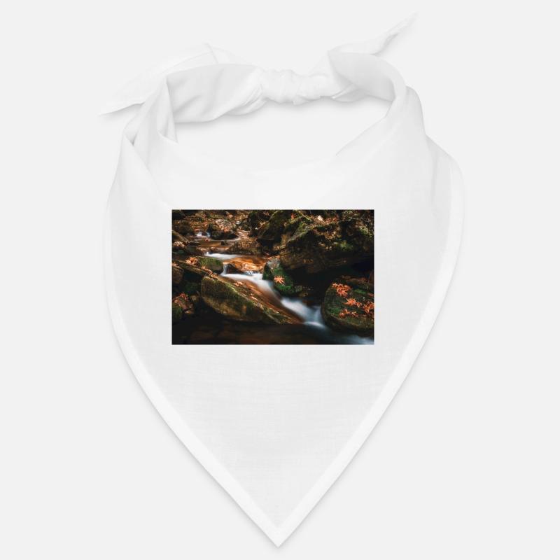 Couleurs d’automne dans les feuilles de la rivière Bandana