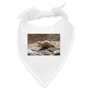 Afrikanisches Ziesel Borstenhörnchen Xerus - Bandana - Weiß - Vorne