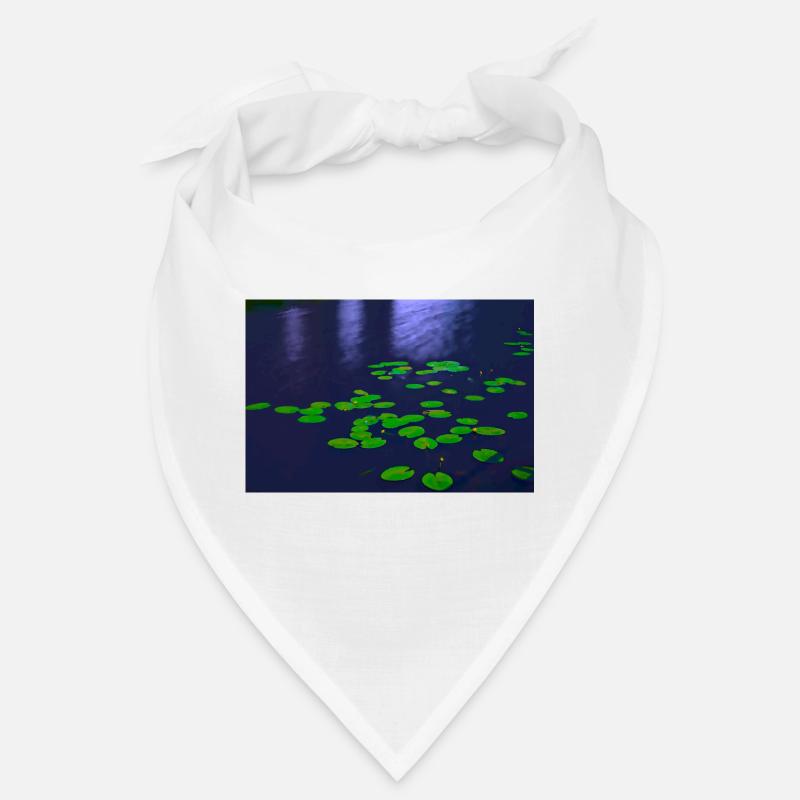 Testnetzwerk Bandana