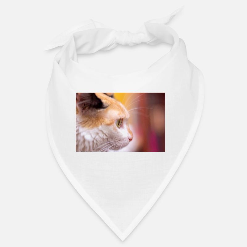regard du chat Bandana