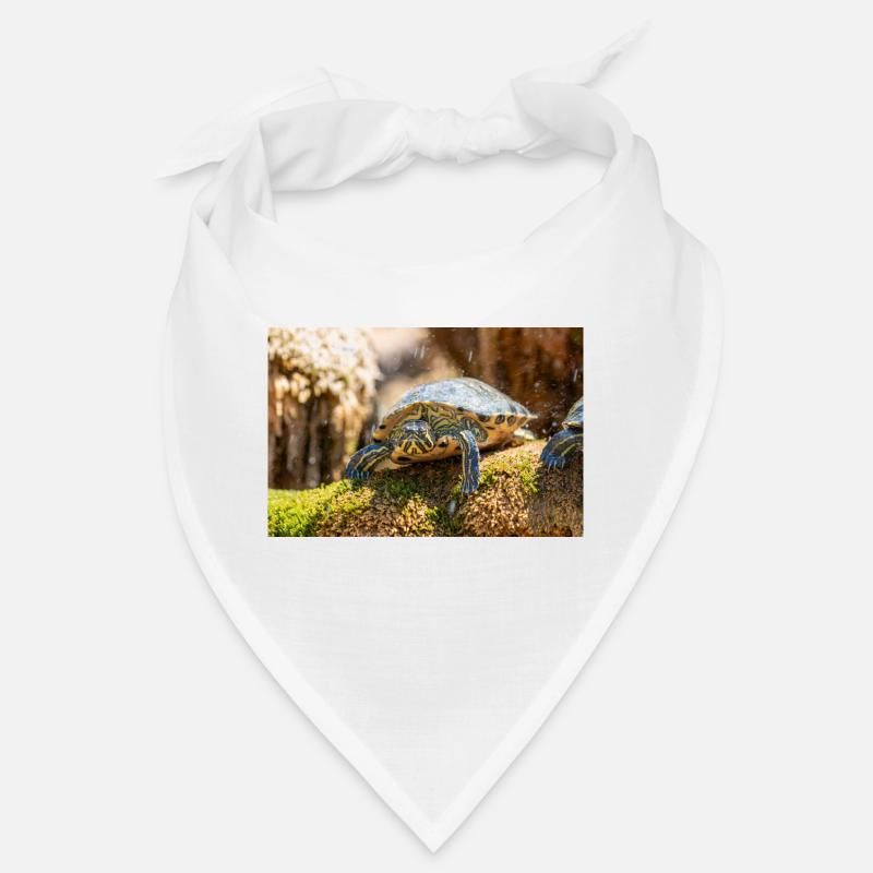 Gelbbauch-Slider Trachemys scripta scripta Bandana