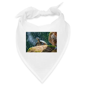 Gelbbauch-Slider Trachemys scripta scripta - Bandana - Weiß - Vorne