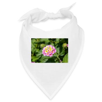 Lantana auch spanische Flagge Wandelröschen - Bandana - Weiß - Vorne