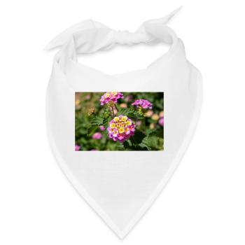 Lantana auch spanische Flagge Wandelröschen - Bandana - Weiß - Vorne