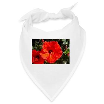 Hibiscus rosa-sinensis auch Chinesischer Hibiskus - Bandana - Weiß - Vorne