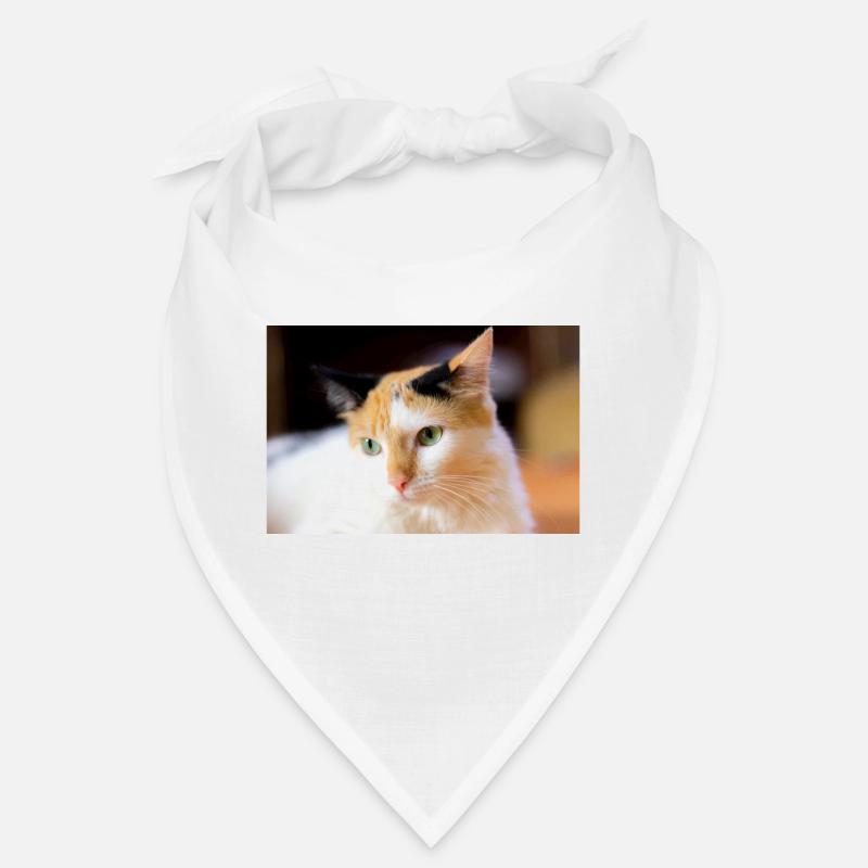 chat carey Bandana