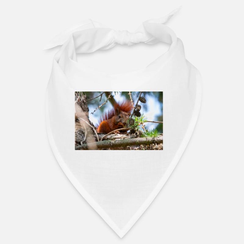 Eichhörnchen Sciurus Bandana